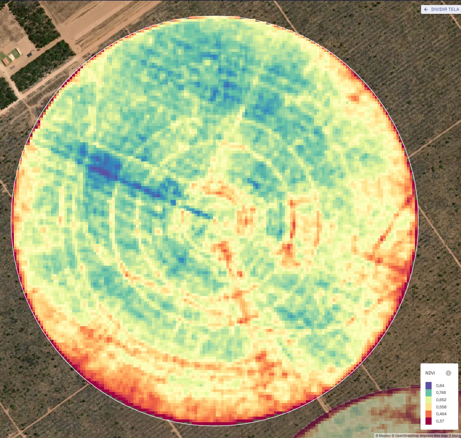 Captura da plataforma IRRIX: NDVI